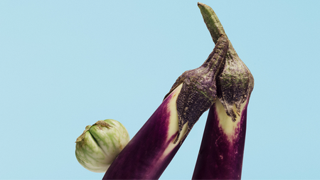 Cobalt Garden – Ein choreografisches Konzert | zamus: early music festival 2026