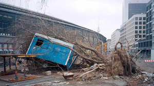 Memory Is a Strange Bell