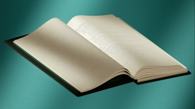 netzwerk junge literatur (njl)