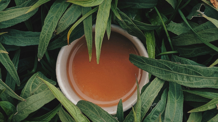 Fasten Erleben - 2 Tage Fasten für Körper & Geist