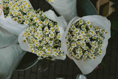 Was geht an Ostern 2026? - Veranstaltungen in Düsseldorf