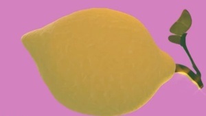 FRUITYTUNES