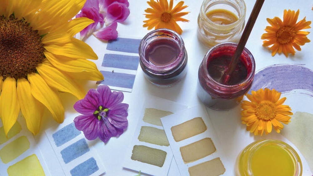 Malen mit Färberpflanzen