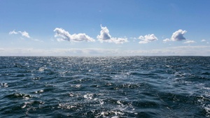 Die Ostsee im Visier