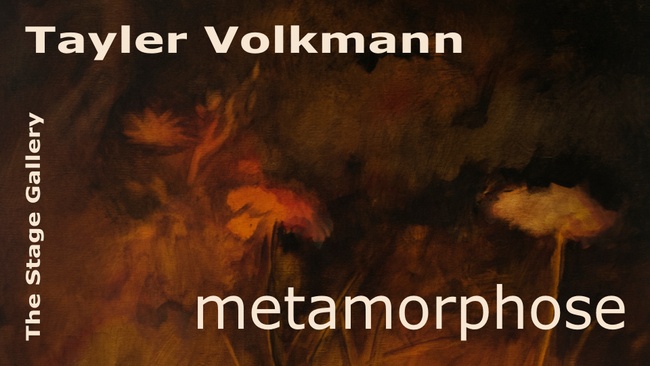 metamorphose by Tayler Volkmann