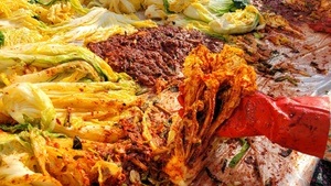 Workshop Fermentieren für Einsteiger – Kimchi