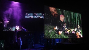 Der Zauberer von Öz – Eine Fußballtragödie