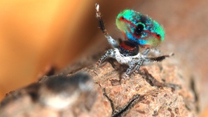 Feierabendführungen - Spezial!