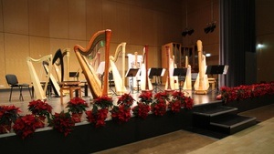 Weihnachtliche Harfenmatinée