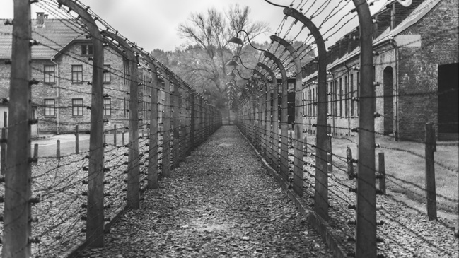 Geschichte - Gewalt - Gewissen