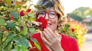 Katrin Iskam - Gärtnern ohne viel Geschiss