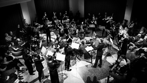 Richard Strauss METAMORPHOSEN für 23 Solostreicher