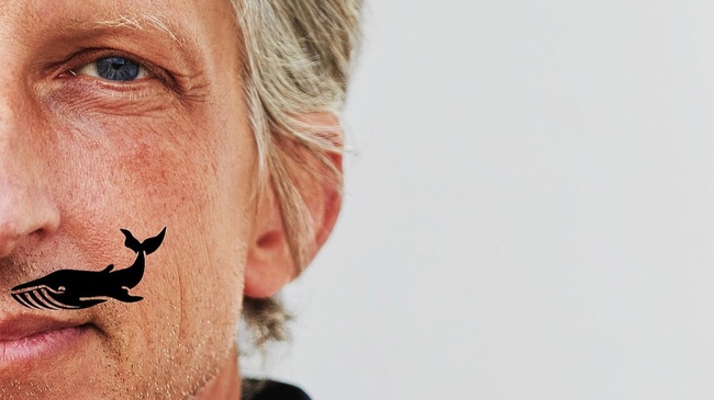 William Wahl - "wahlweise"