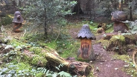 Märchenwanderung – Eine Reise zu den Bäumen aus aller Welt