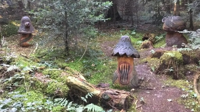 Märchenwanderung – Eine Reise zu den Bäumen aus aller Welt