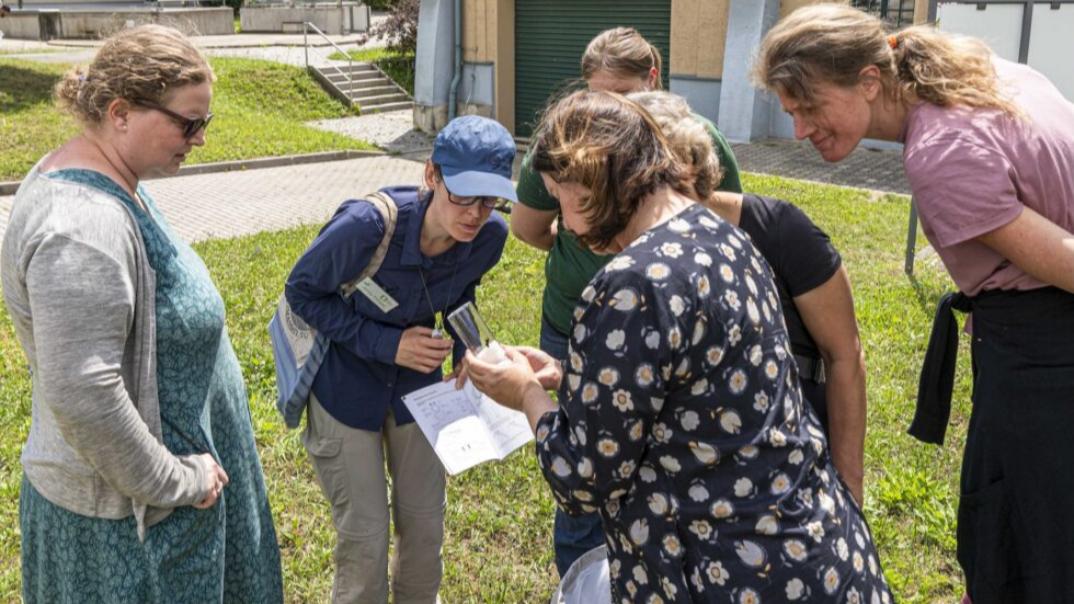Artenkenntniskurs Wildbienen I – Grundlagen