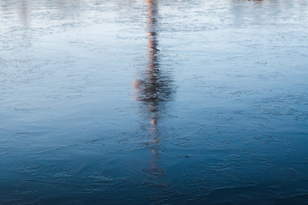 What's happening in January 2026? - Events in Cologne