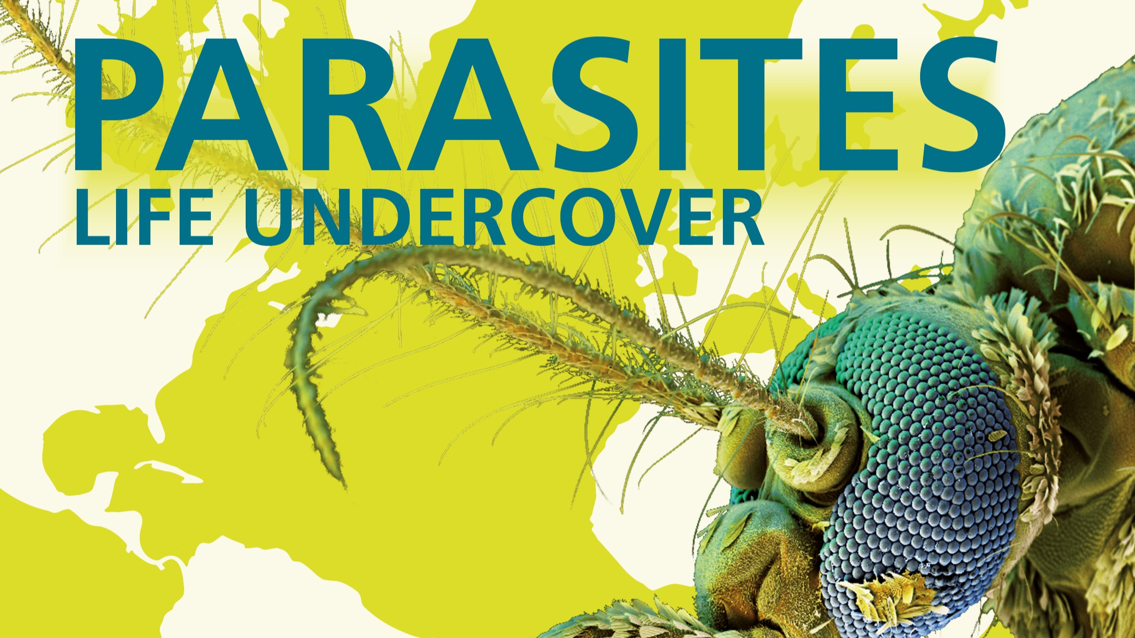 Parasites – Life Undercover