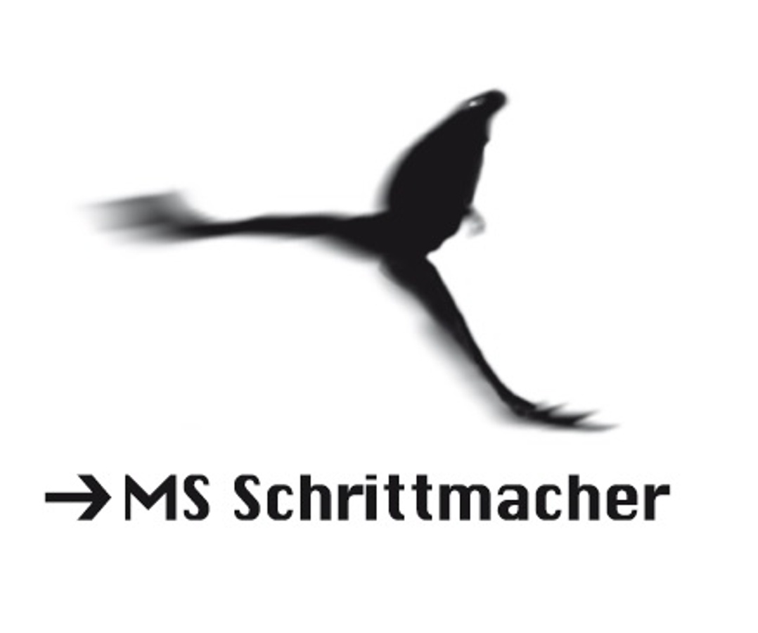 MS Schrittmacher