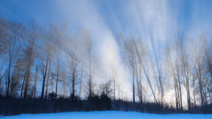 Imbolc Lichtfest: Yoga Flow & Ritual