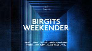 Birgits Weekender with Rauschhaus, VABU, MOOGLI, Peer Kusiv, Invaria