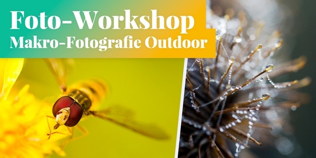 Fotokurs in Berlin: Makro-Fotografie - Kleine Natur ganz groß