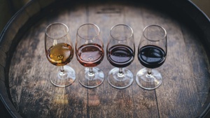 Workshop "Grundkurs Wein - Alles, was wichtig ist"