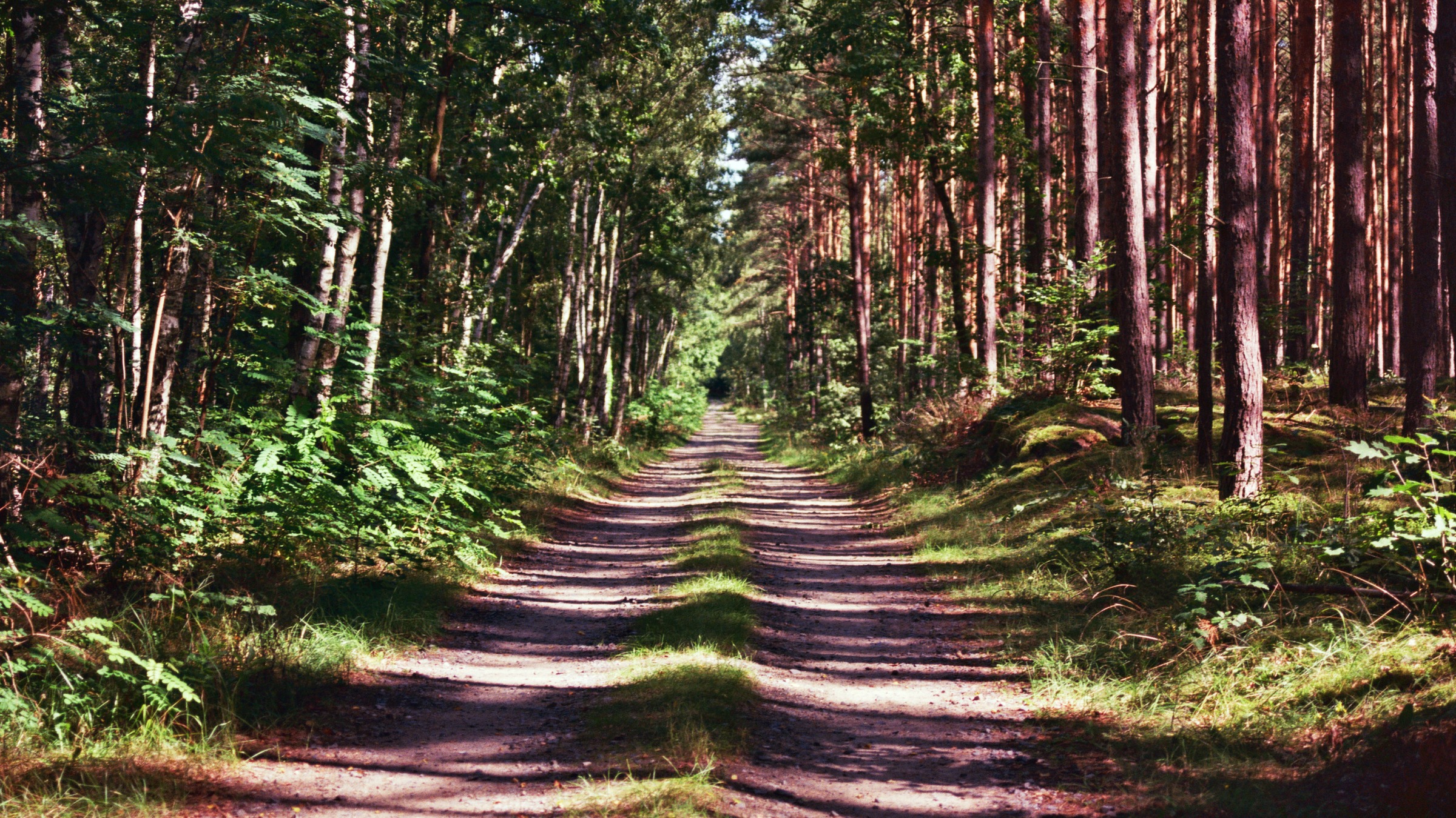 Field Recording & Sound Collage