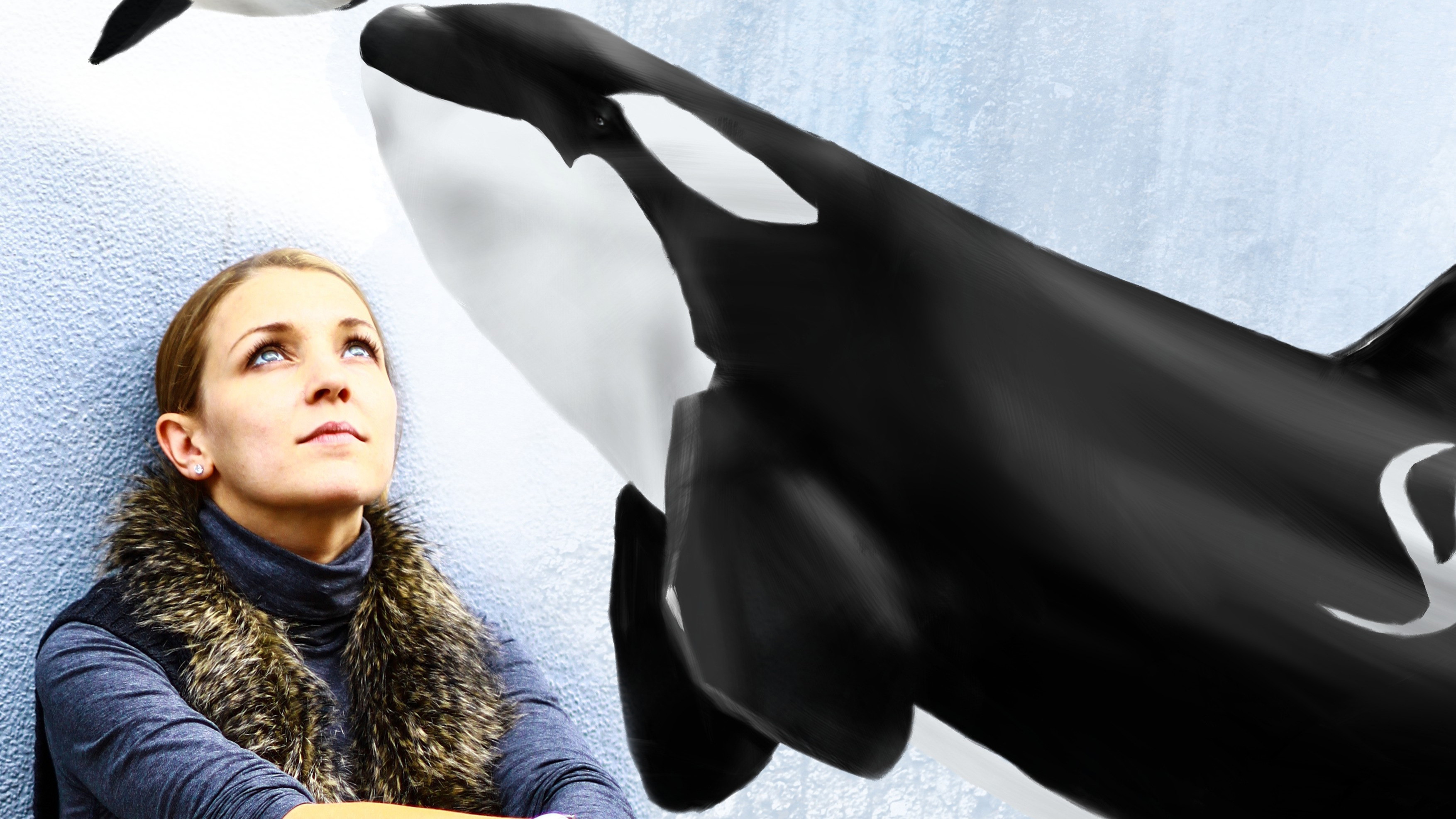 ORCA. Majestät der Tiefe - Lesung mit Elena Gossmann