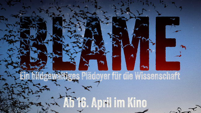 BLAME | KINOSTART 16.April 2026
