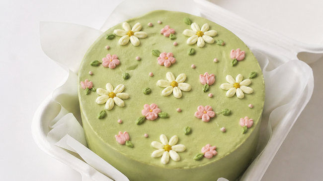 Bento CAKE Workshop- green Matcha theme / ENGLISH