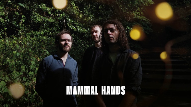 Jazz Open 2026: Mammal Hands