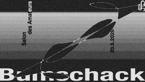 Bumschack Kollektiv @ Salon des Amateurs