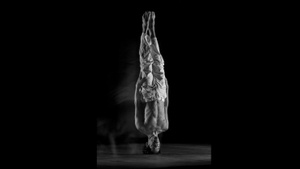 DIE WORKSHOPS - Tanzen, wann du willst!