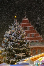 Weihnachtsmarkt Greifswald