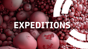 Expeditions