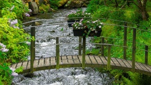 Musikalisches Bilderbuchkino