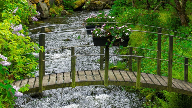 Musikalisches Bilderbuchkino