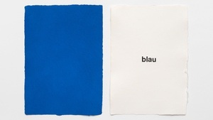 Monochromie. Zur Ästhetik publizierter Kunst
