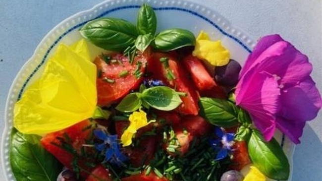 Wildpflanzen Spaziergang