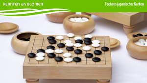 Go-Spiel