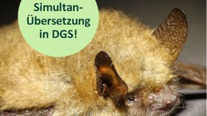 Internationale Fledermausnacht mit Simultanübersetzung in DGS