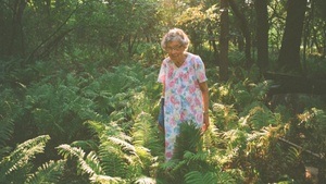 Panorama: Agatha’s Almanac