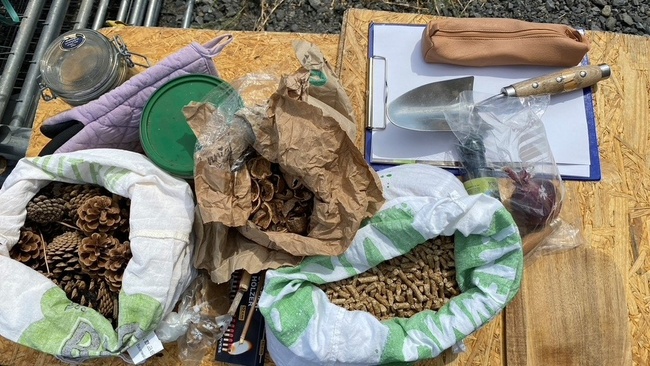 PFLANZENKOHLE FÜR TERRA PRETA