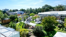 Marktplatz Marienberg & Tante Noris im Park