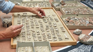 Führung in der Schaurestaurierung "Medusen-Mosaik"
