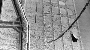 Robotron. Code und Utopie: Ein Künstler*innengespräch mit Tina Bara und Sabine Weier