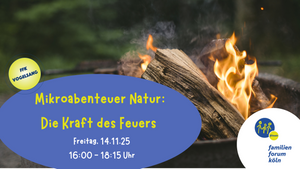 Mikroabenteuer Natur: Die Kraft des Feuers