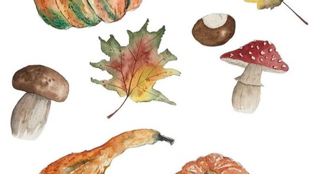 Online Aquarell-Workshop - Pilzparty
