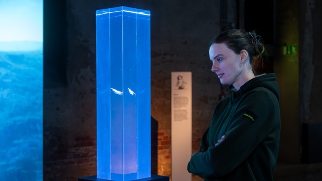 Expertenführung "Kleine Helden, große Sorgen - Was den antarktischen Krill für die Antarktis so bedeutsam macht"